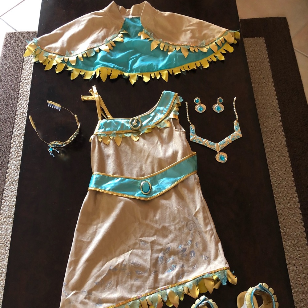 Disney Store Pocahontas Costume